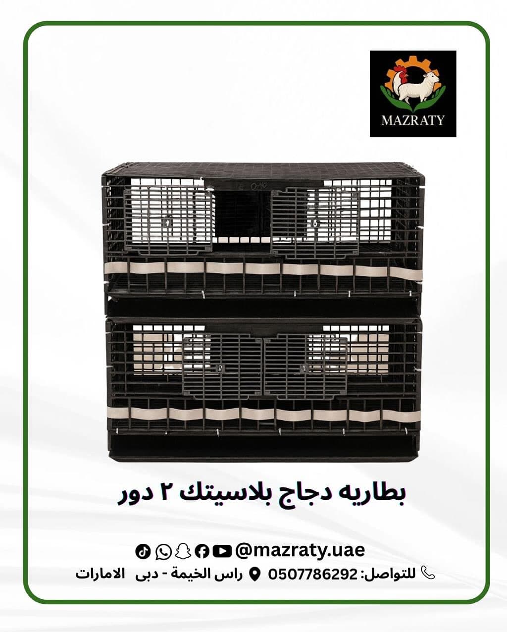 Economic Plastic Chicken Battery Cage