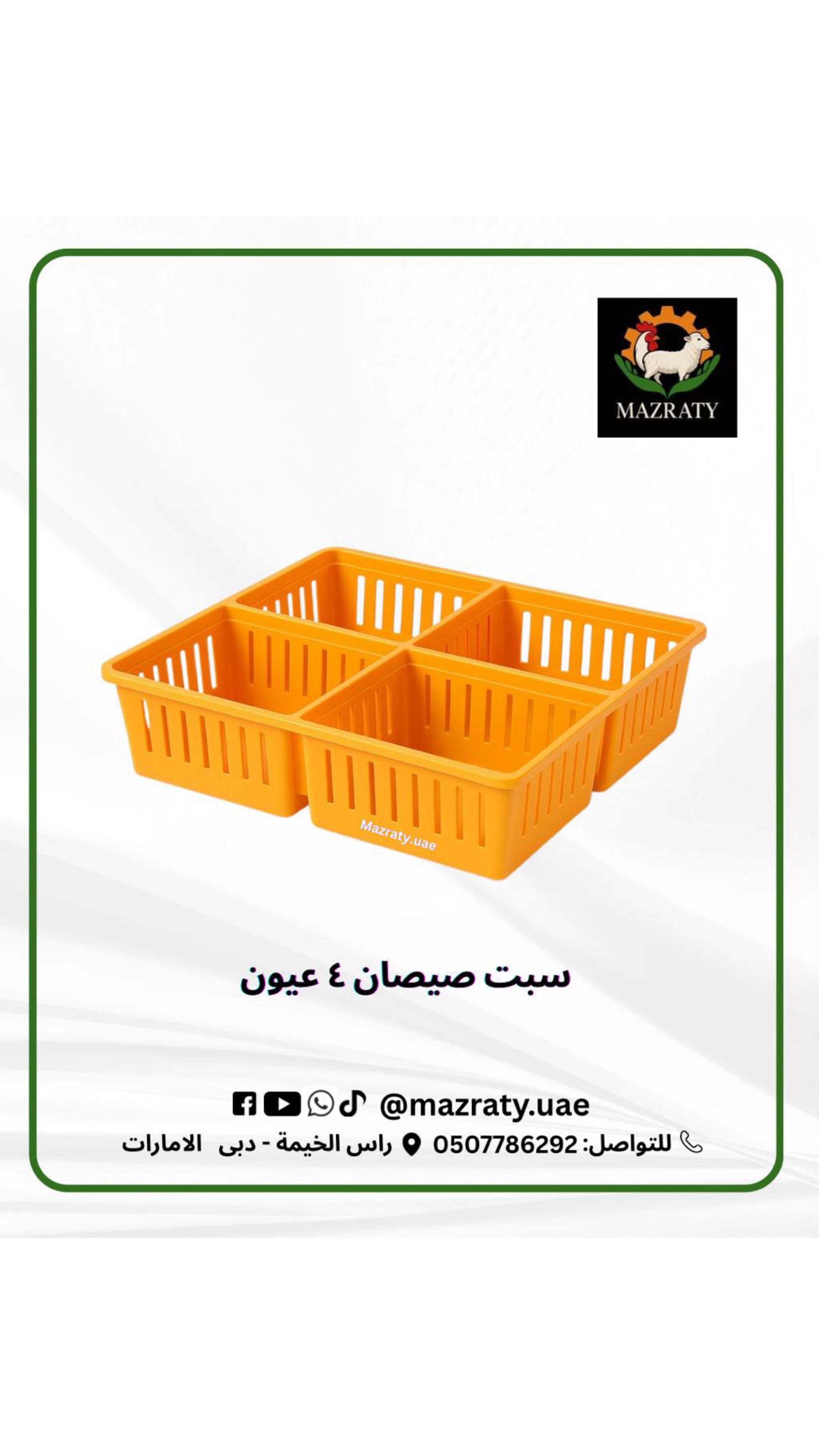 Chick Transport Crate 4 Compartments