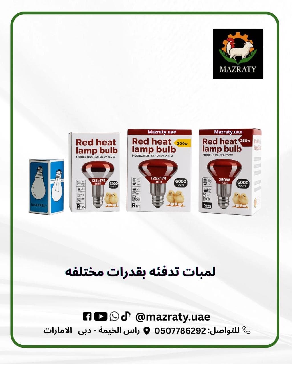 Heat Lamps (Assorted)