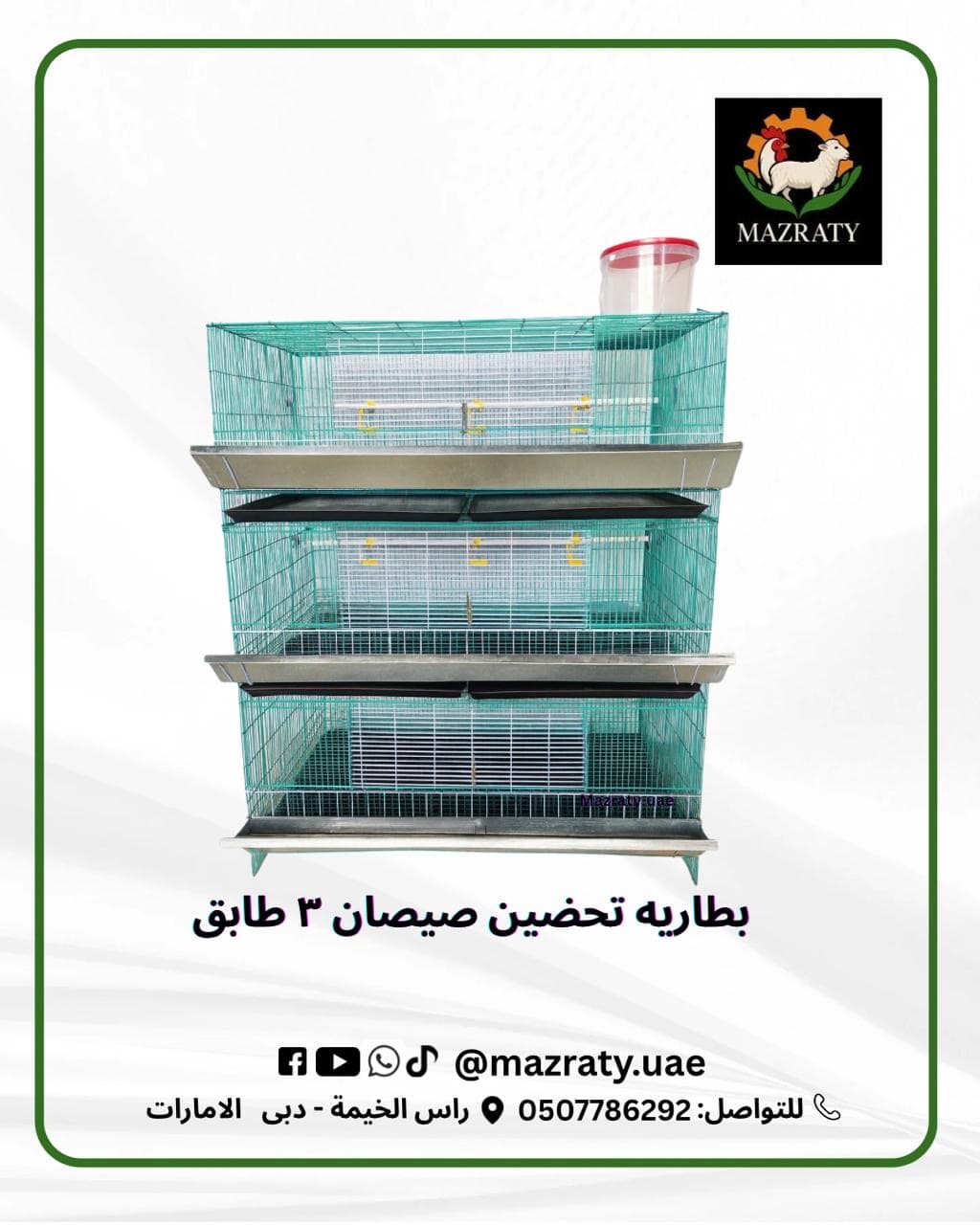 Chick Brooder Battery