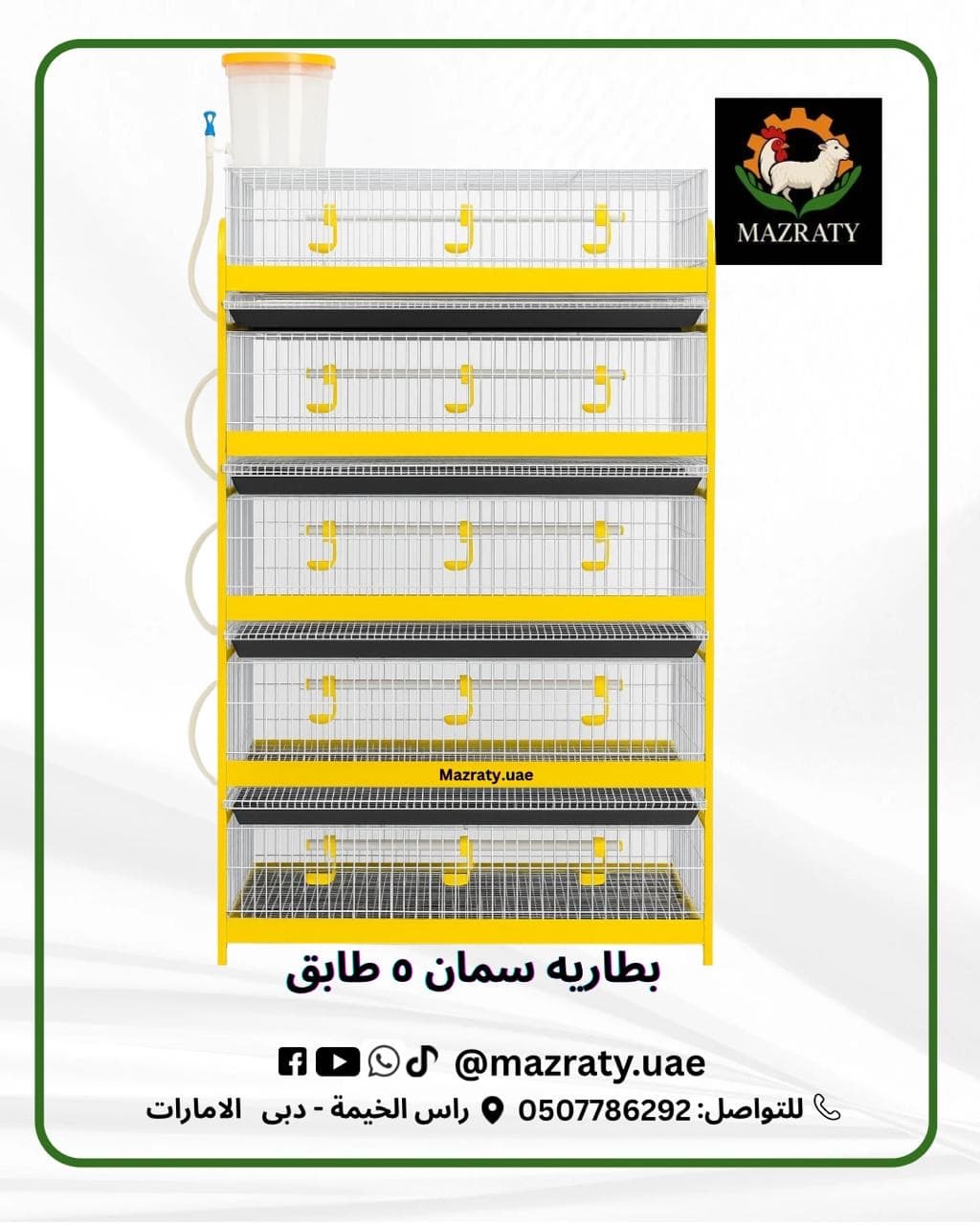 5-Tier Quail Battery