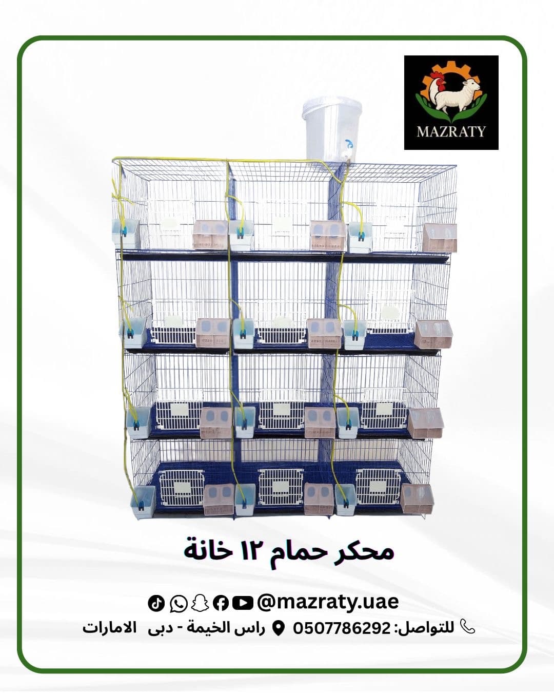 12-Cell Pigeon Cage