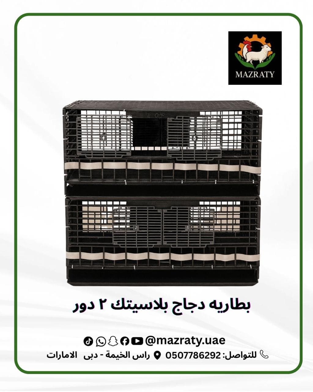 2-Tier Chicken Battery