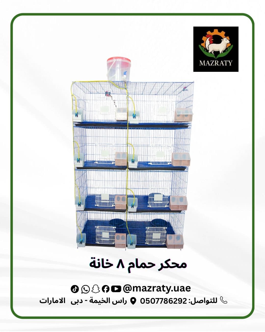 Standard 8-Cell Pigeon Cage