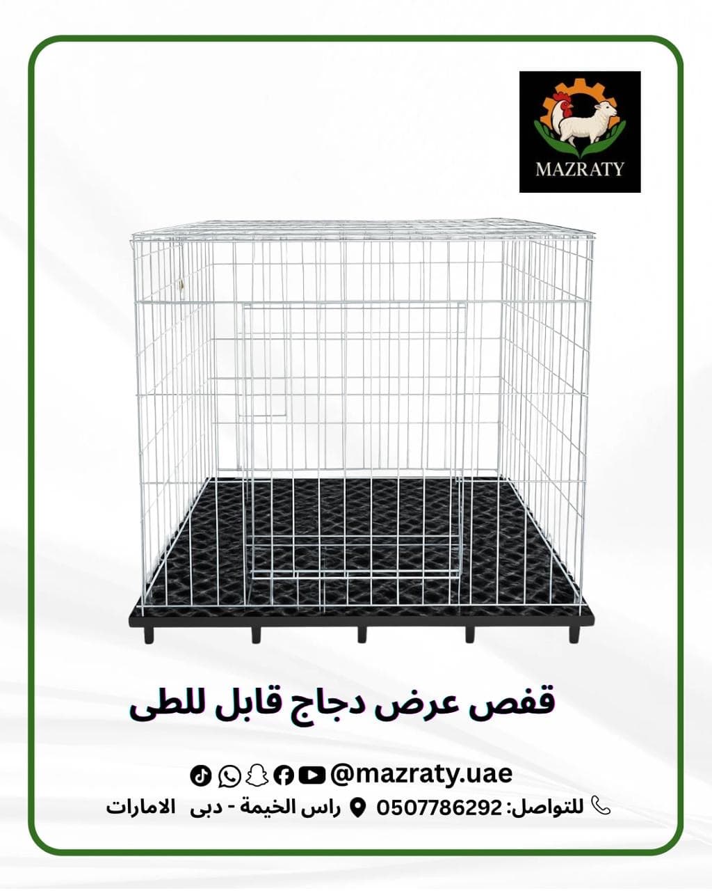 Chicken Display Cage