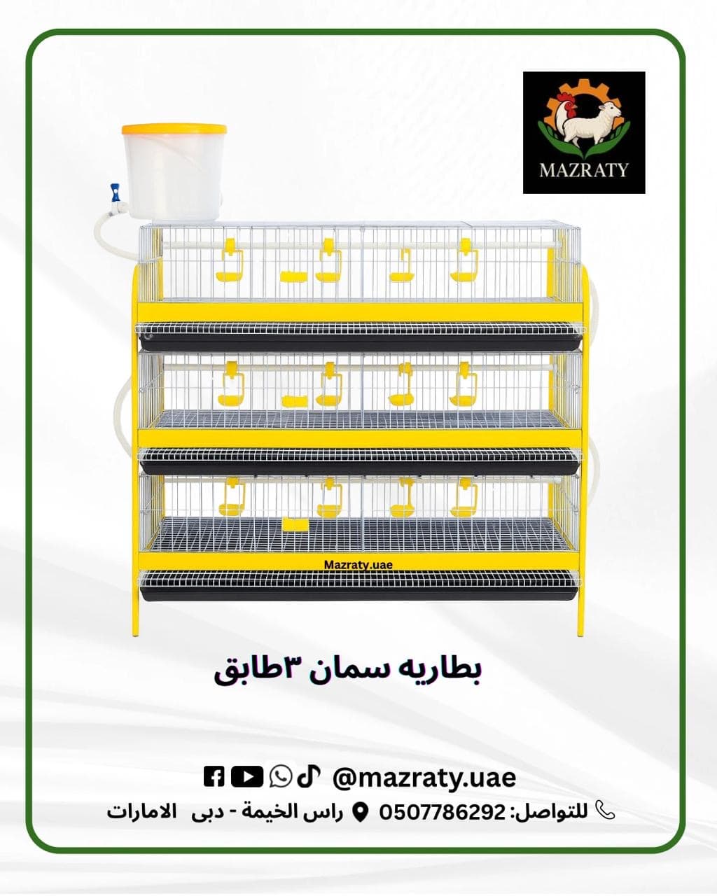 Quail Farming Cages: Everything You Need to Know to Start a Successful Quail Project in the UAE