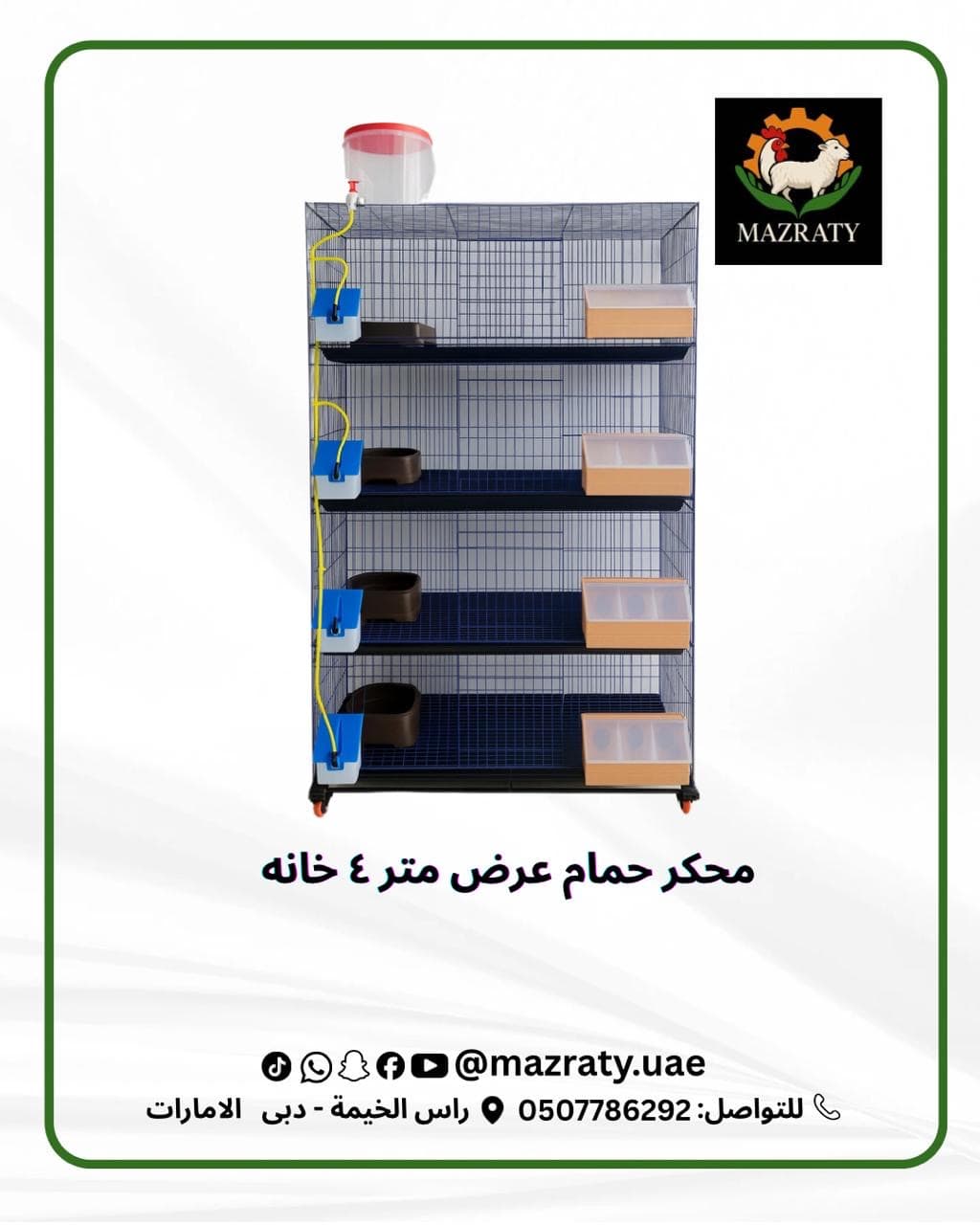 The Complete Guide to Pigeon Cages: How to Choose the Perfect Loft for Successful Breeding in the UAE