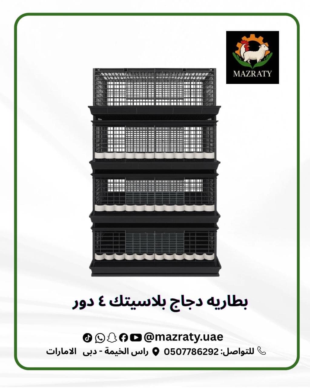 Setting Up a Professional Chicken House: From Planning to Operation in the UAE Climate