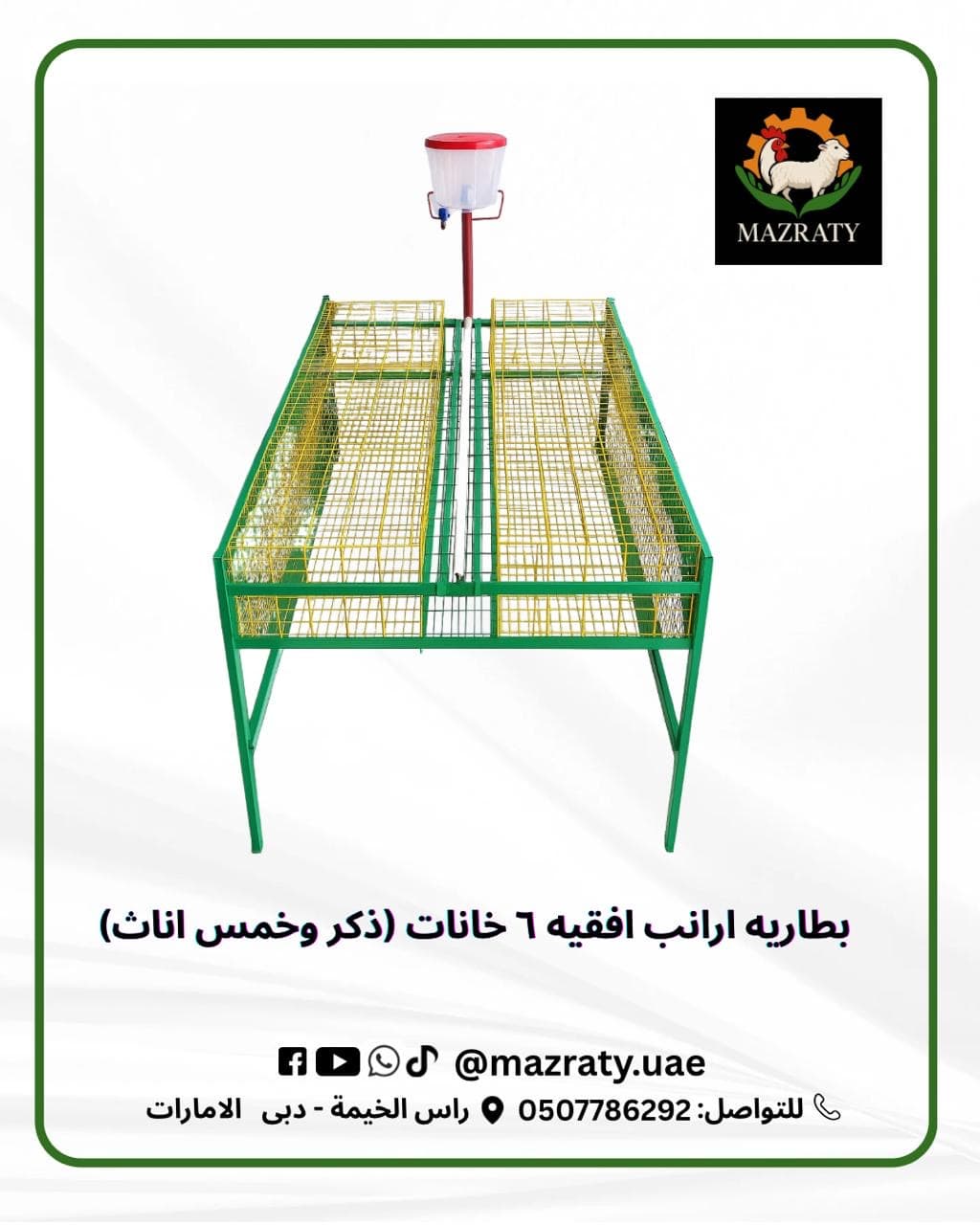 Rabbit Battery Cages: Everything You Need to Know About Intensive Farming and Commercial Production in the UAE